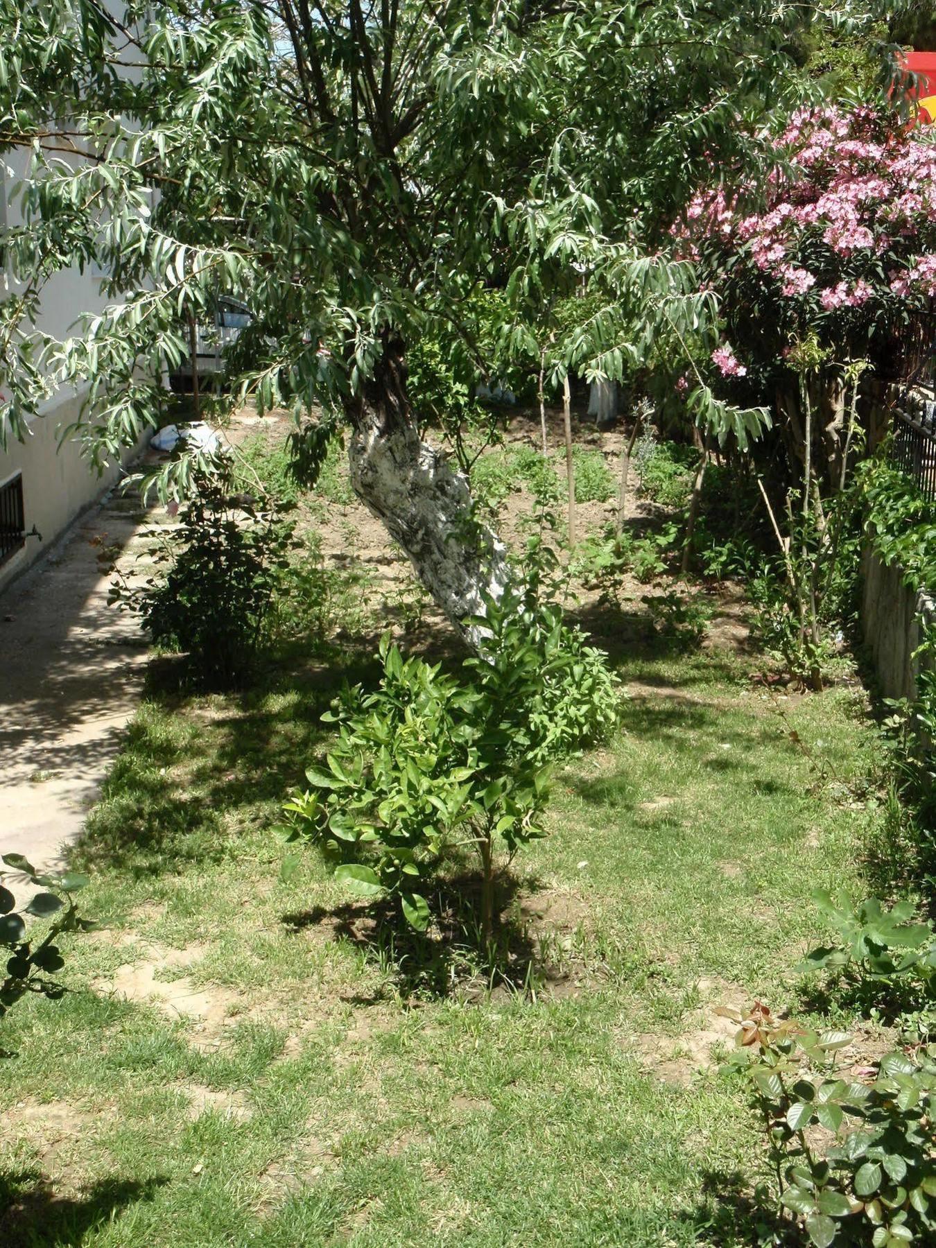 Liman Hotel Kusadası Esterno foto